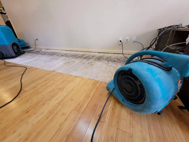 Professional Emergency Water Damage technician working in Alcester, SD